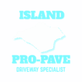 logo (10)